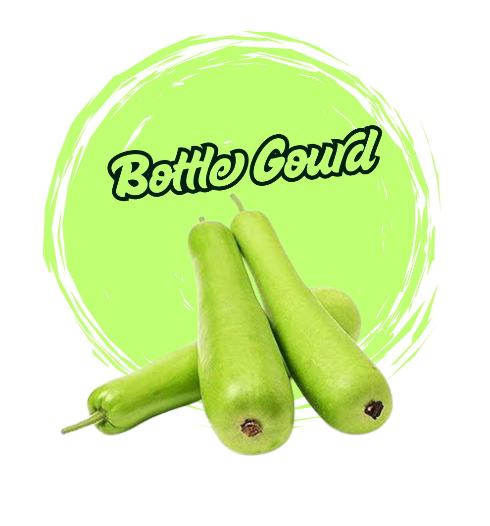 Bottle Gourd